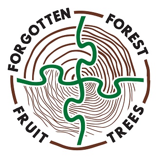Forgotton forest fruit trees