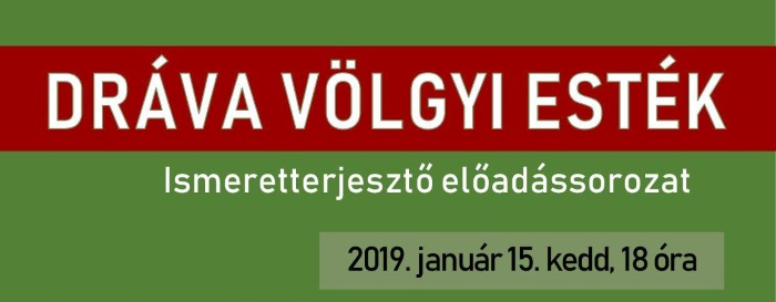 DVE fejlc