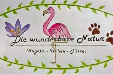 die wunderbare natur